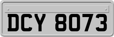 DCY8073