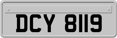DCY8119