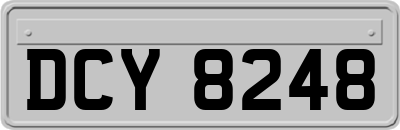 DCY8248