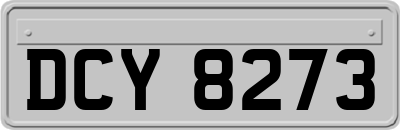 DCY8273