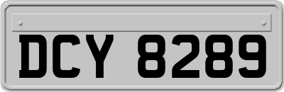 DCY8289