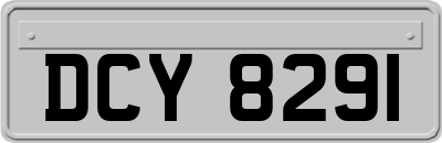 DCY8291