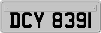 DCY8391