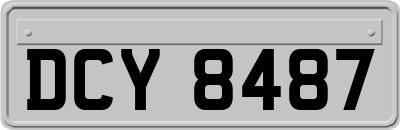 DCY8487