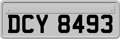 DCY8493