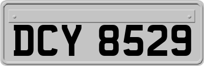 DCY8529