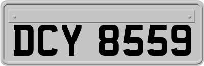 DCY8559