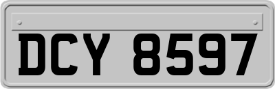 DCY8597
