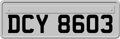 DCY8603