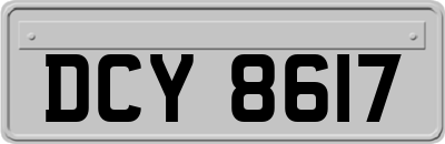 DCY8617
