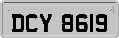 DCY8619