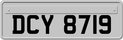 DCY8719