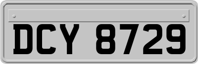 DCY8729