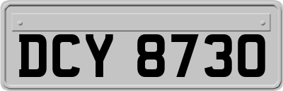 DCY8730