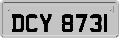 DCY8731