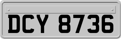 DCY8736