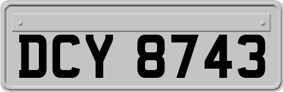 DCY8743