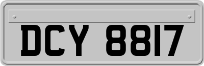 DCY8817