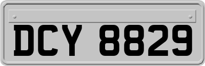DCY8829