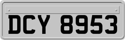DCY8953