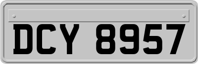DCY8957