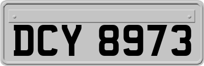 DCY8973