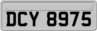 DCY8975