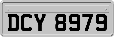 DCY8979