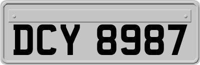 DCY8987