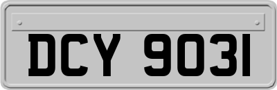 DCY9031