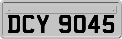 DCY9045