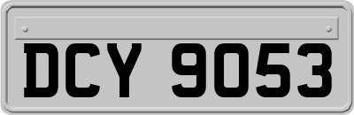 DCY9053