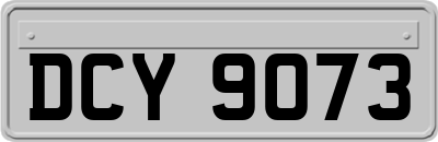 DCY9073