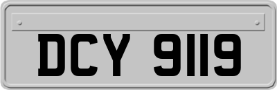 DCY9119