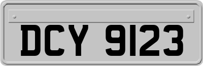 DCY9123