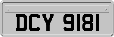 DCY9181