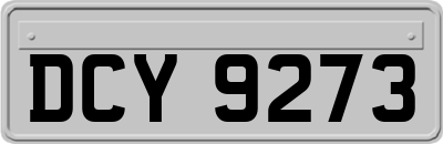DCY9273