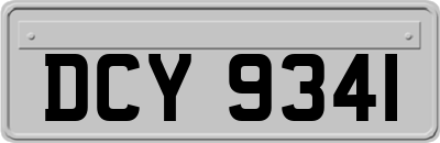 DCY9341
