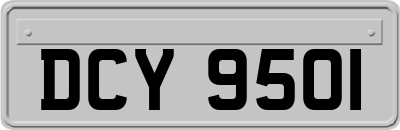 DCY9501