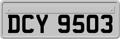 DCY9503