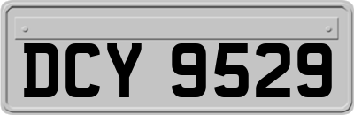DCY9529