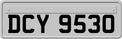 DCY9530