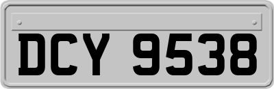 DCY9538