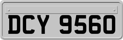 DCY9560