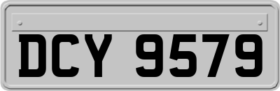 DCY9579