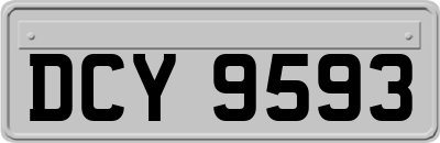 DCY9593