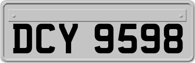 DCY9598