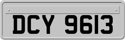 DCY9613