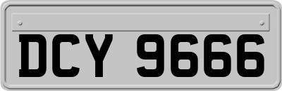 DCY9666