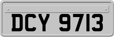 DCY9713